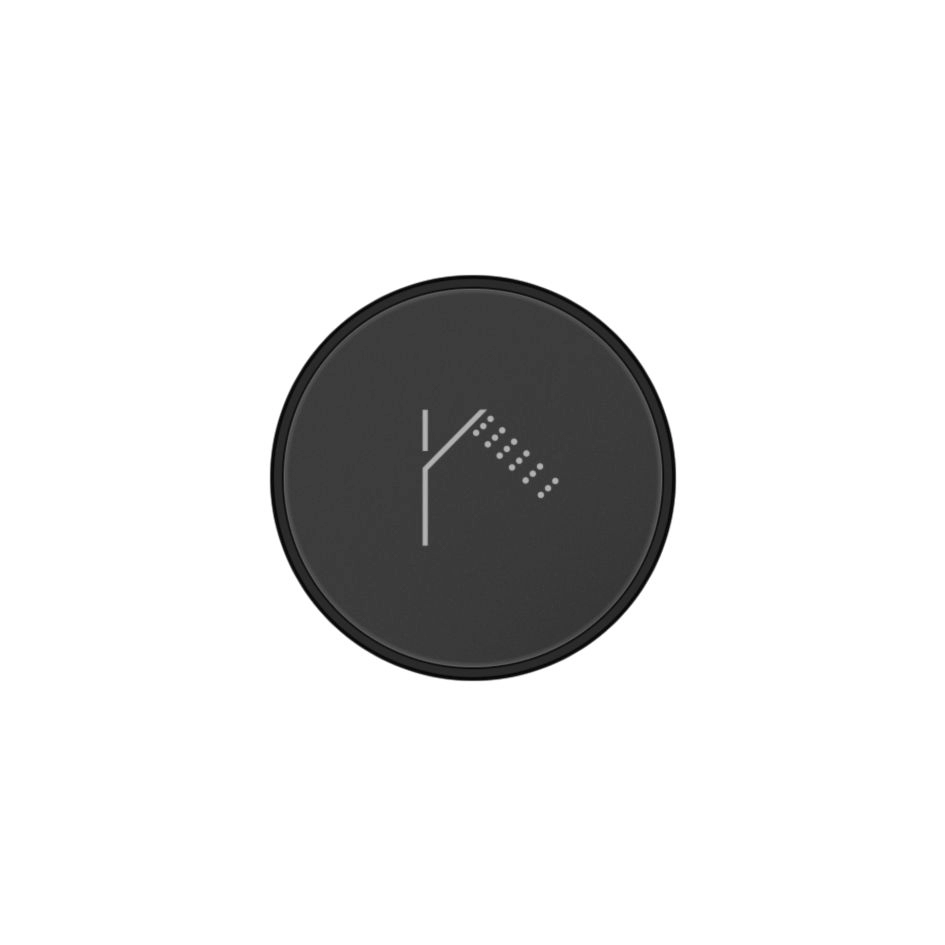 Plaque de boutons de douche Icon Noir mat