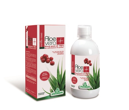 alterra aloe vera gel test Aloe Vera Gel – Hydrating care for sunburned and dry skin 200 ml main image 0