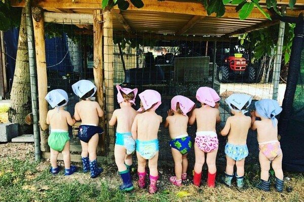 Foto di un agrinido