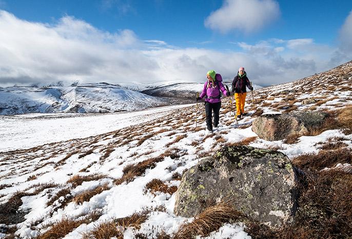 Scarponi da Montagna Impermeabili, Scarponi Backpacking