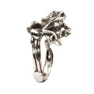 Raganella  - Main view