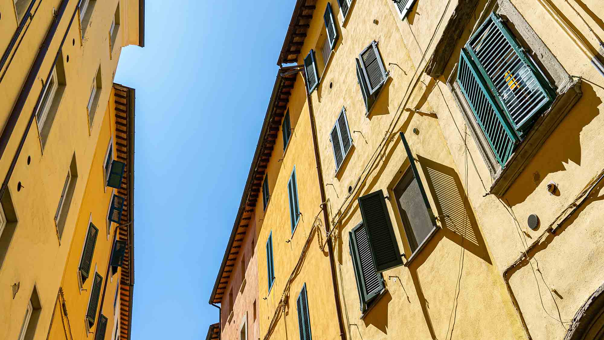 Sistemi professionali San Marco per muri e rivestimenti