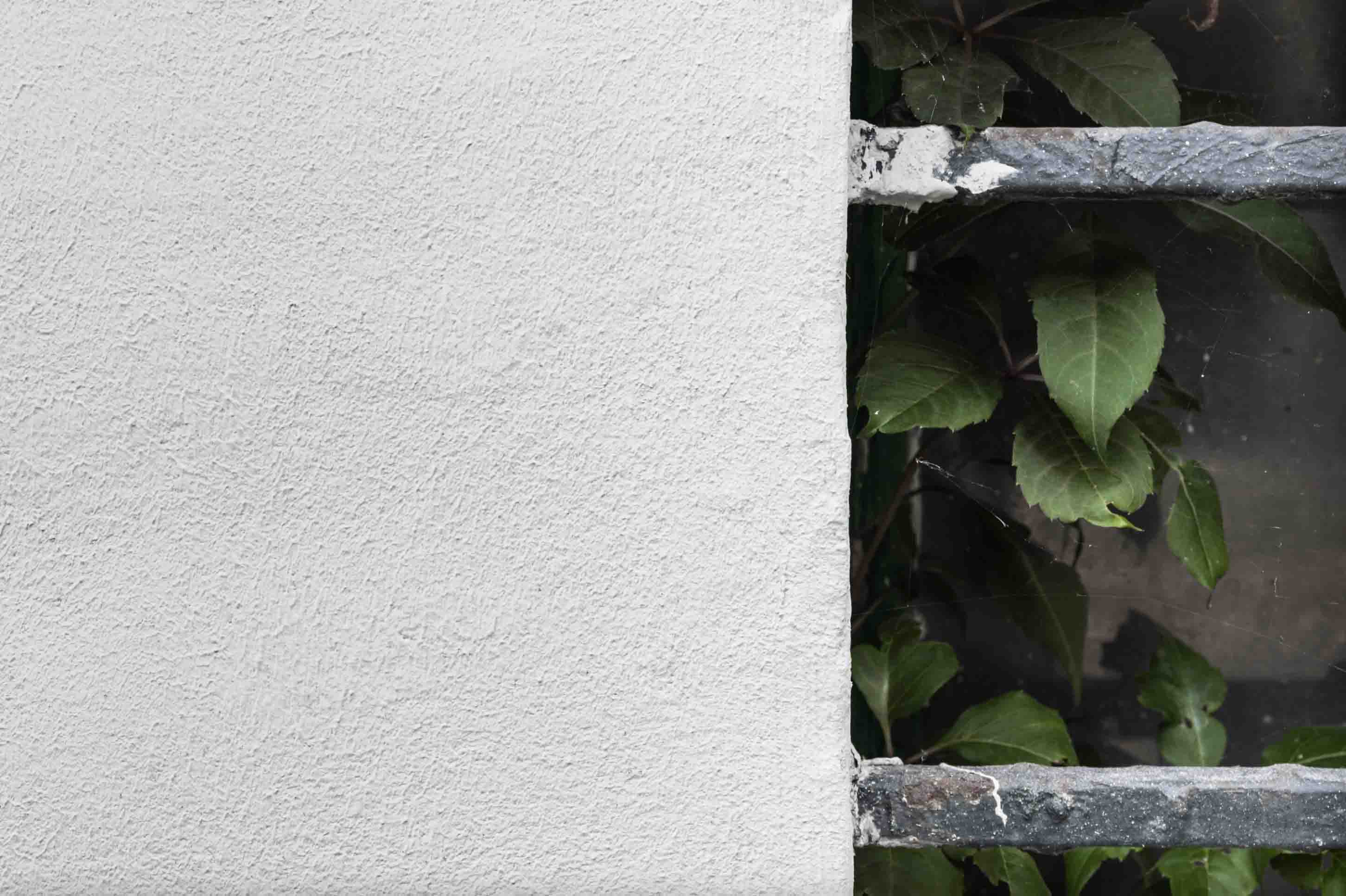 Colle, rasanti e premiscelati San Marco