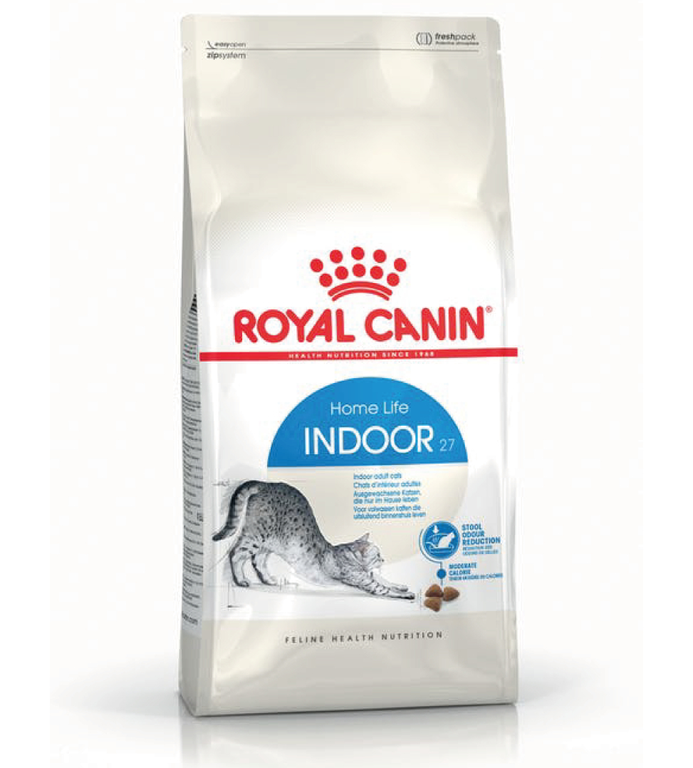 Royal canin kitten feline health nutrition kitten dry food top