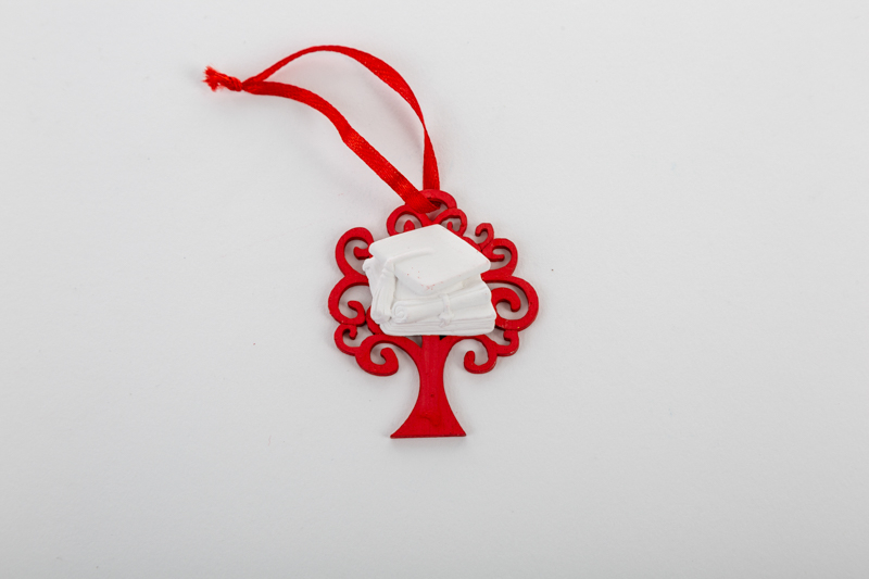 APPENDINO ALBERO IN LEGNO ROSSO CON GESSETTO LAUREA 4X5