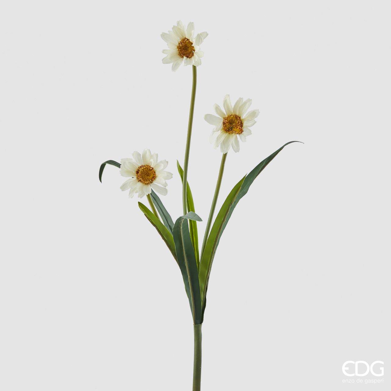 Margherita Chic Ramo Crema h.50 Edg