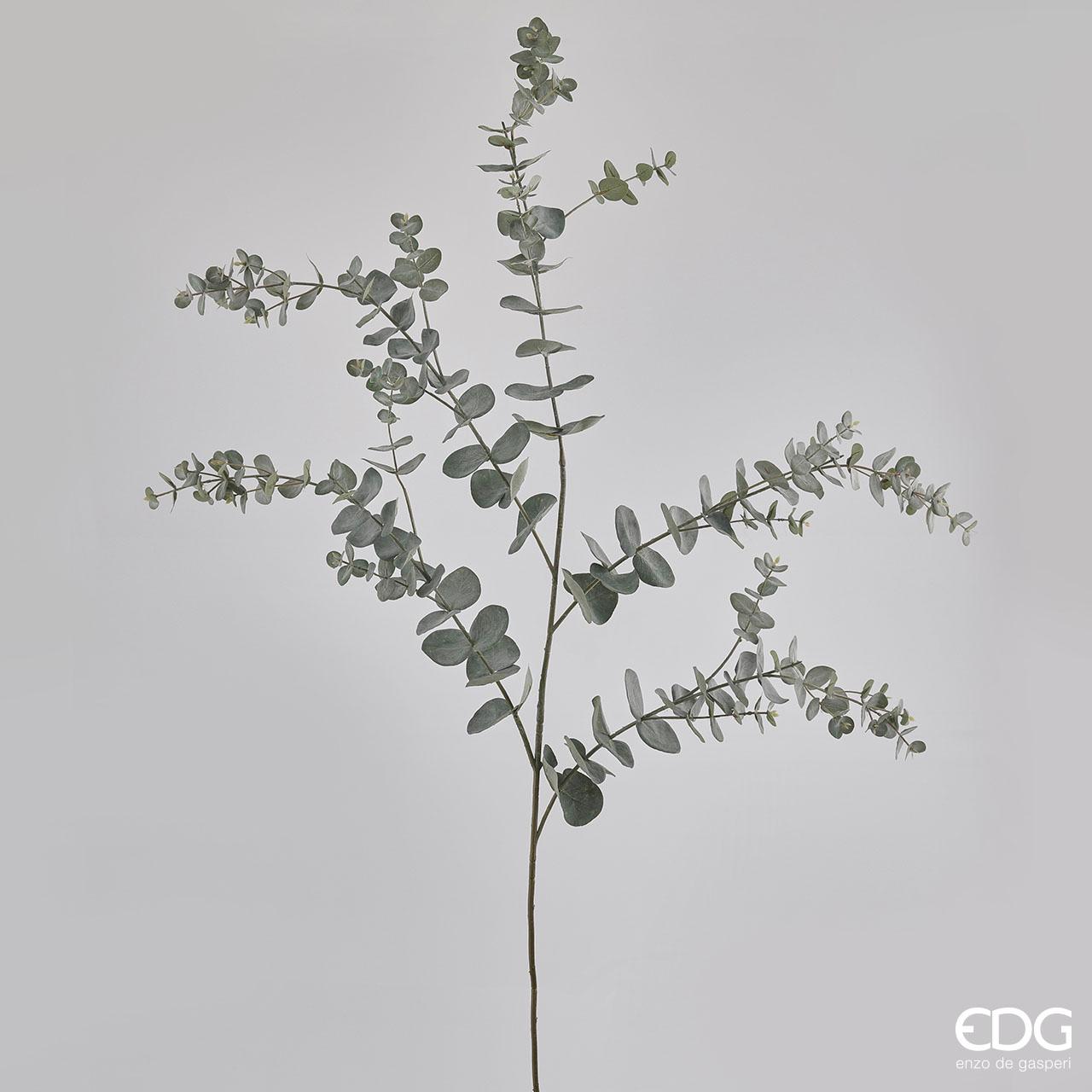 Eucalipto Rex Ramo h.145 Edg
