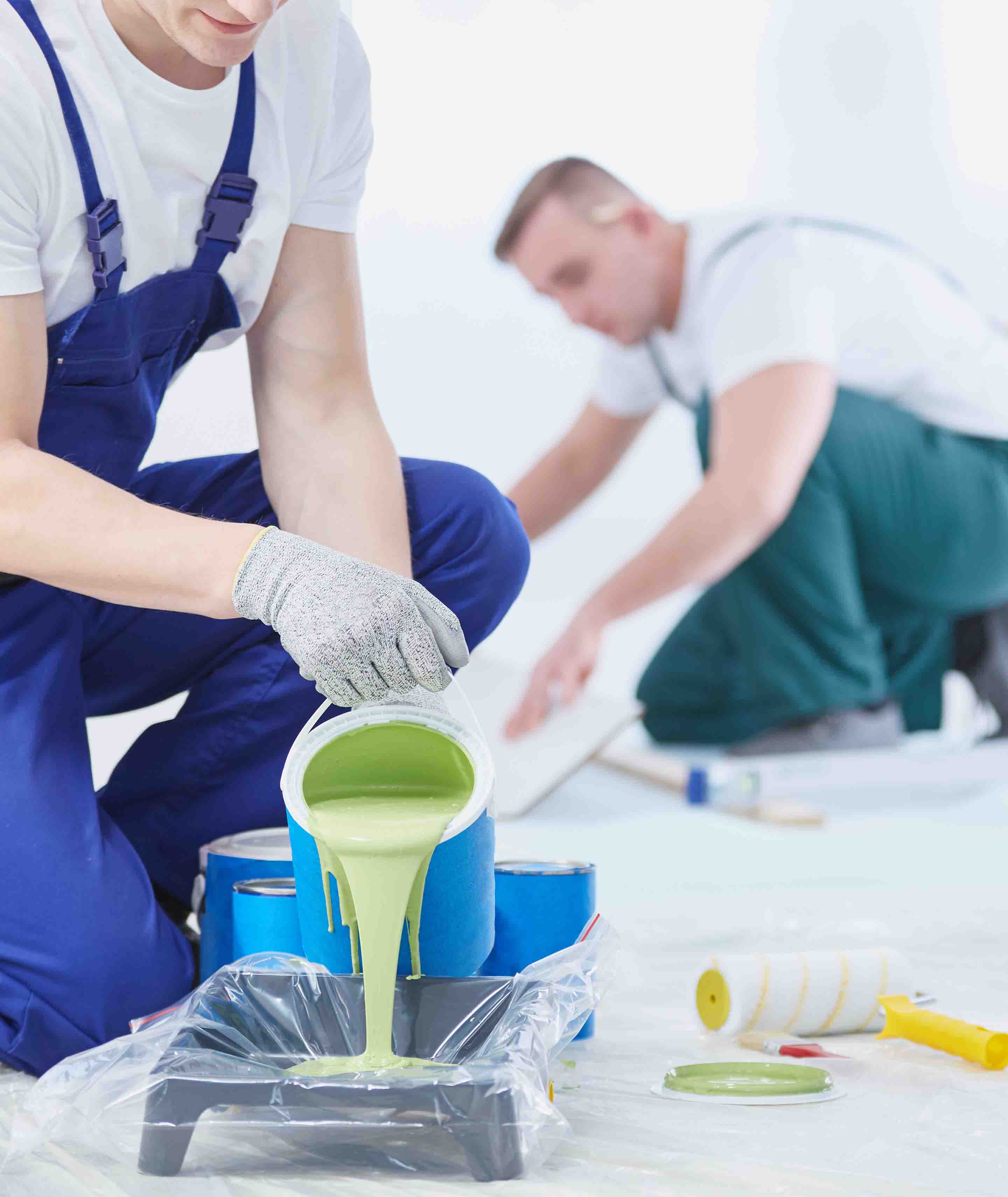 Paints for professionals