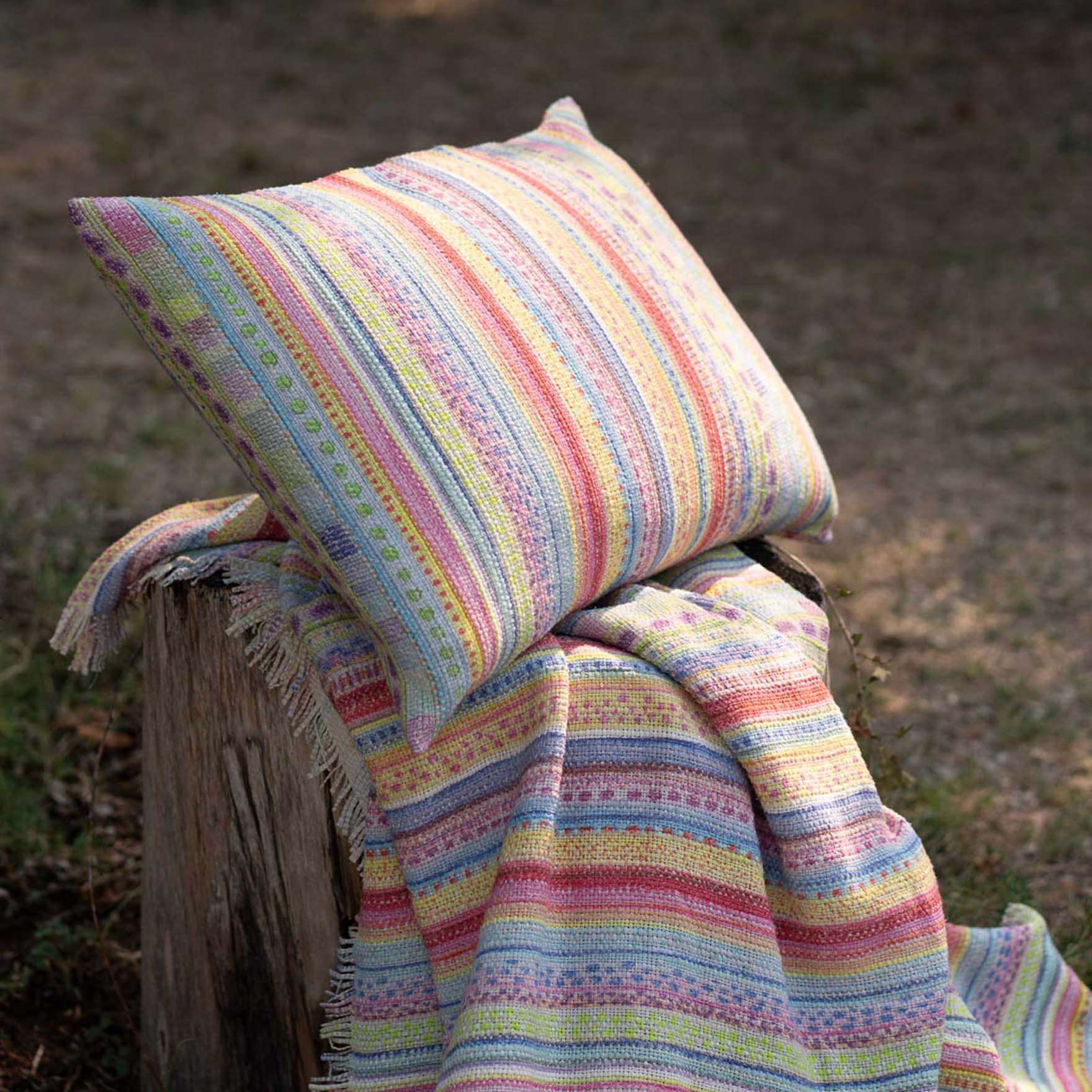 Plaid Beetles Telinus in cotone a stampa a righe multicolore image