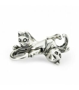 Chiusura gatti innamorati - Main view