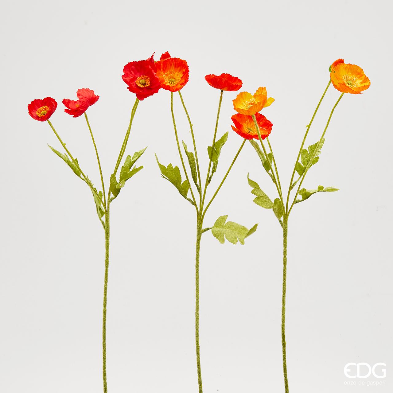 Papavero Bliss Ramo 3A h.60 Edg