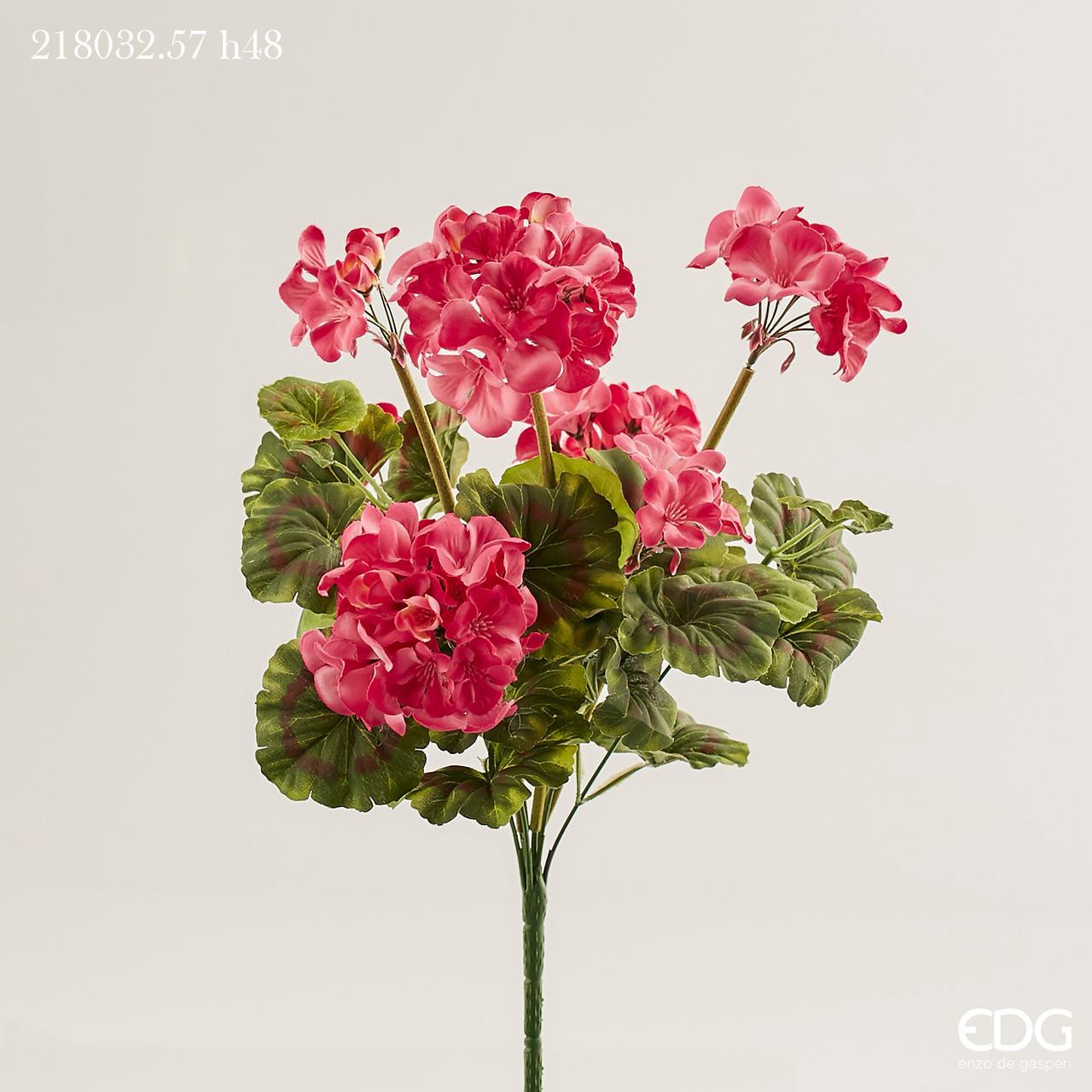 Geranio Cespuglio x 7 Fucsia h.48 Edg