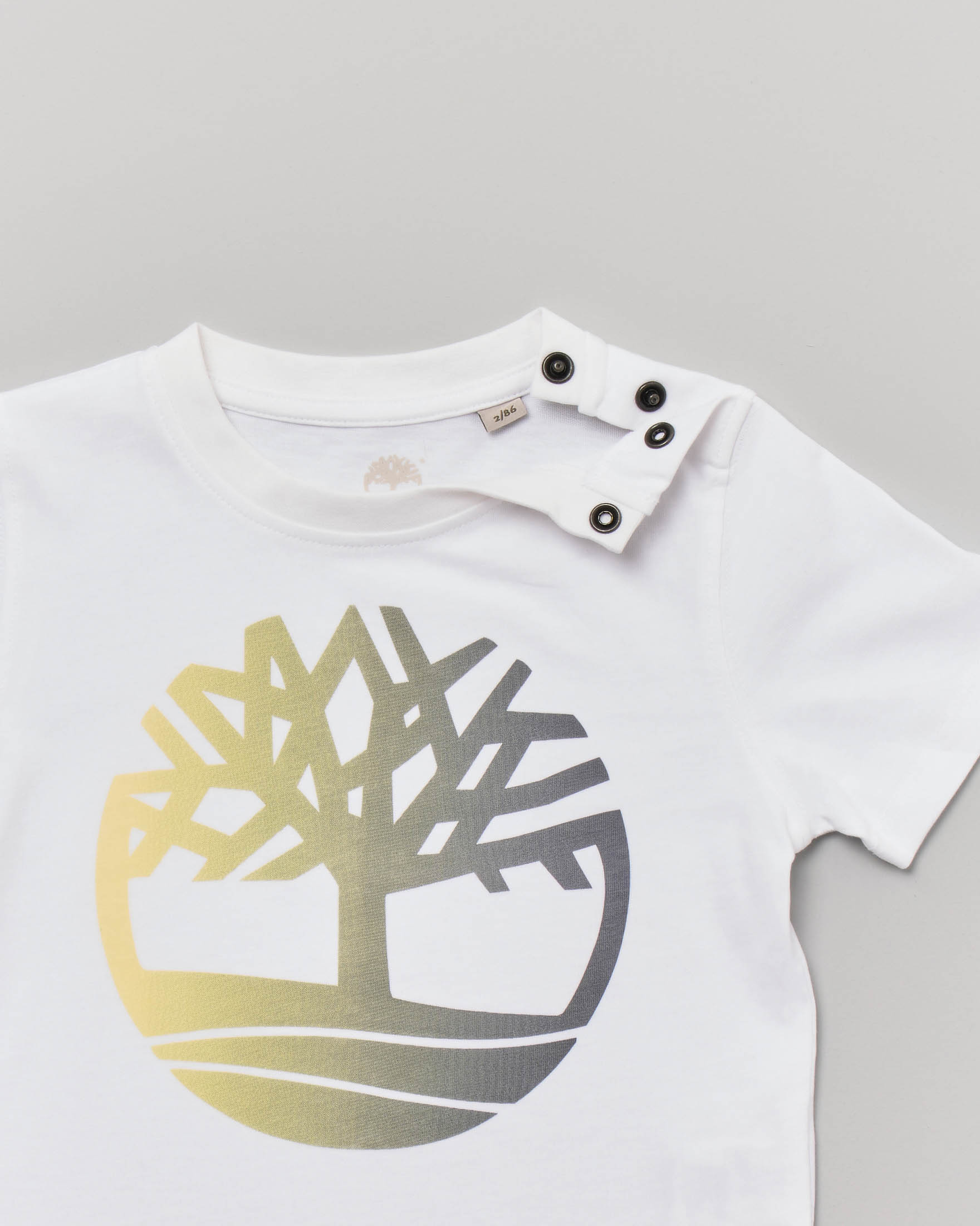 Completo composto da t-shirt bianca mezza manica e bermuda blu in felpa 9-18 mesi image