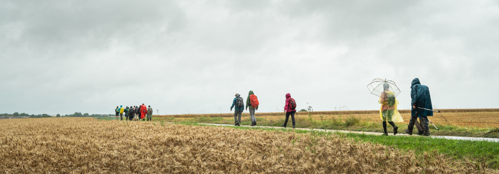 La Via Francigena : histoire, étapes, et comment vous préparer