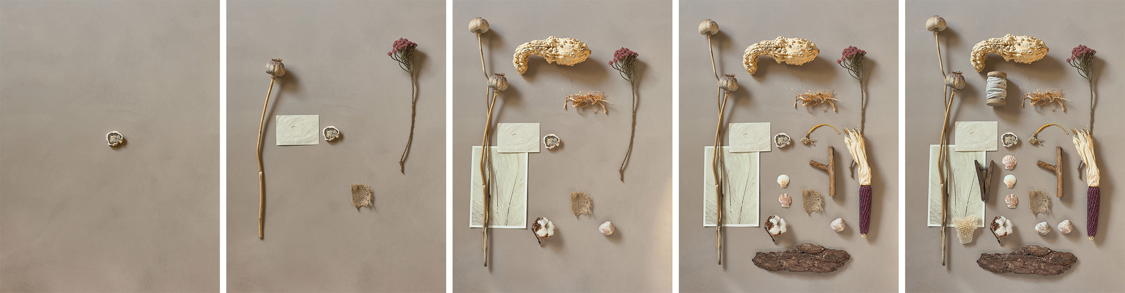 Marmorino KS by Novacolor | moodboard Studio Salaris