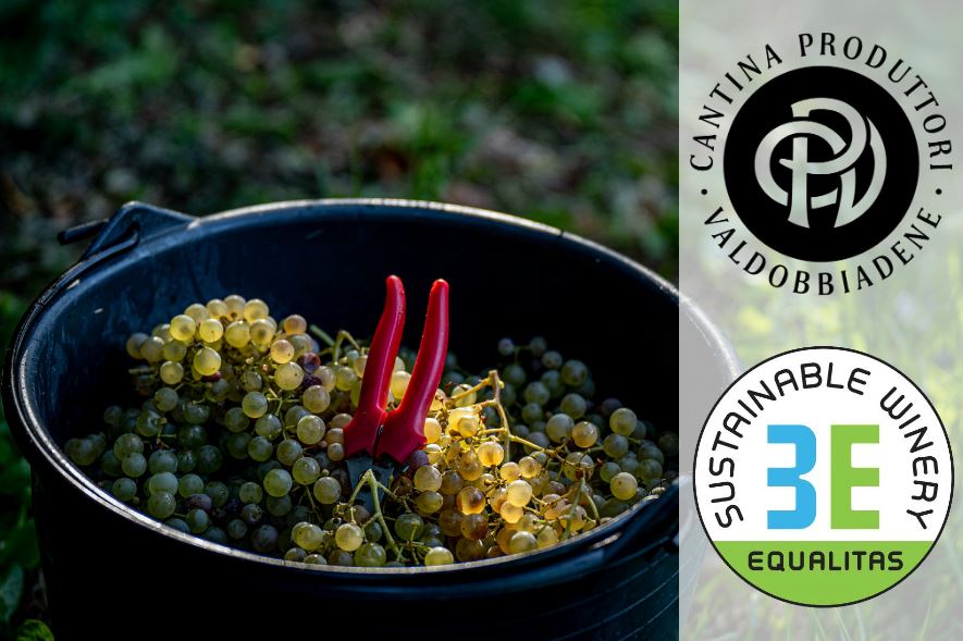 Val D'Oca ottiene la certificazione Equalitas