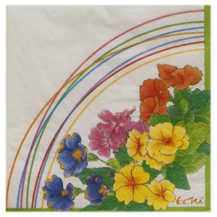 20 TOVAGLIOLI 33x33 3V PRIMULA