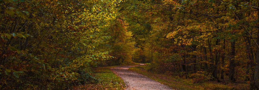 Foliage in Veneto: dove fare trekking in autunno