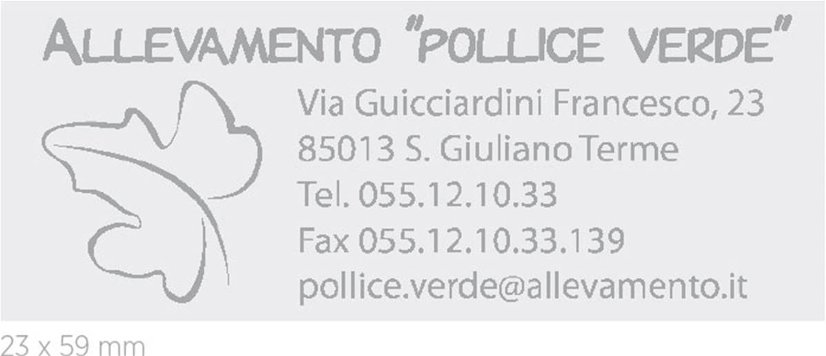 COLOP Printer 40 GREEN LINE - View1