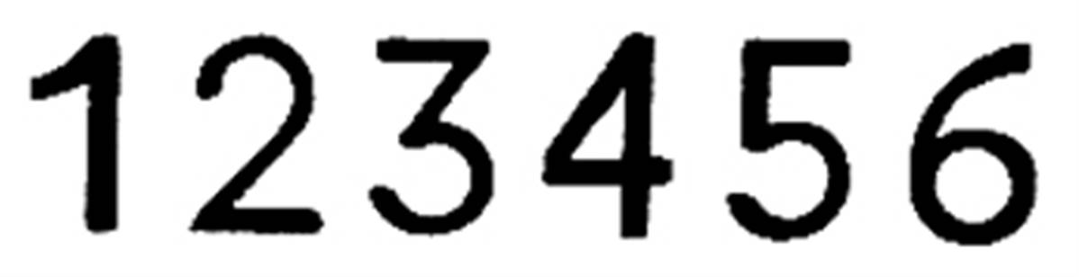 REINER NUMERATORE in abs 8cifre 5,5m ripet 0.1-3x,6x - View1