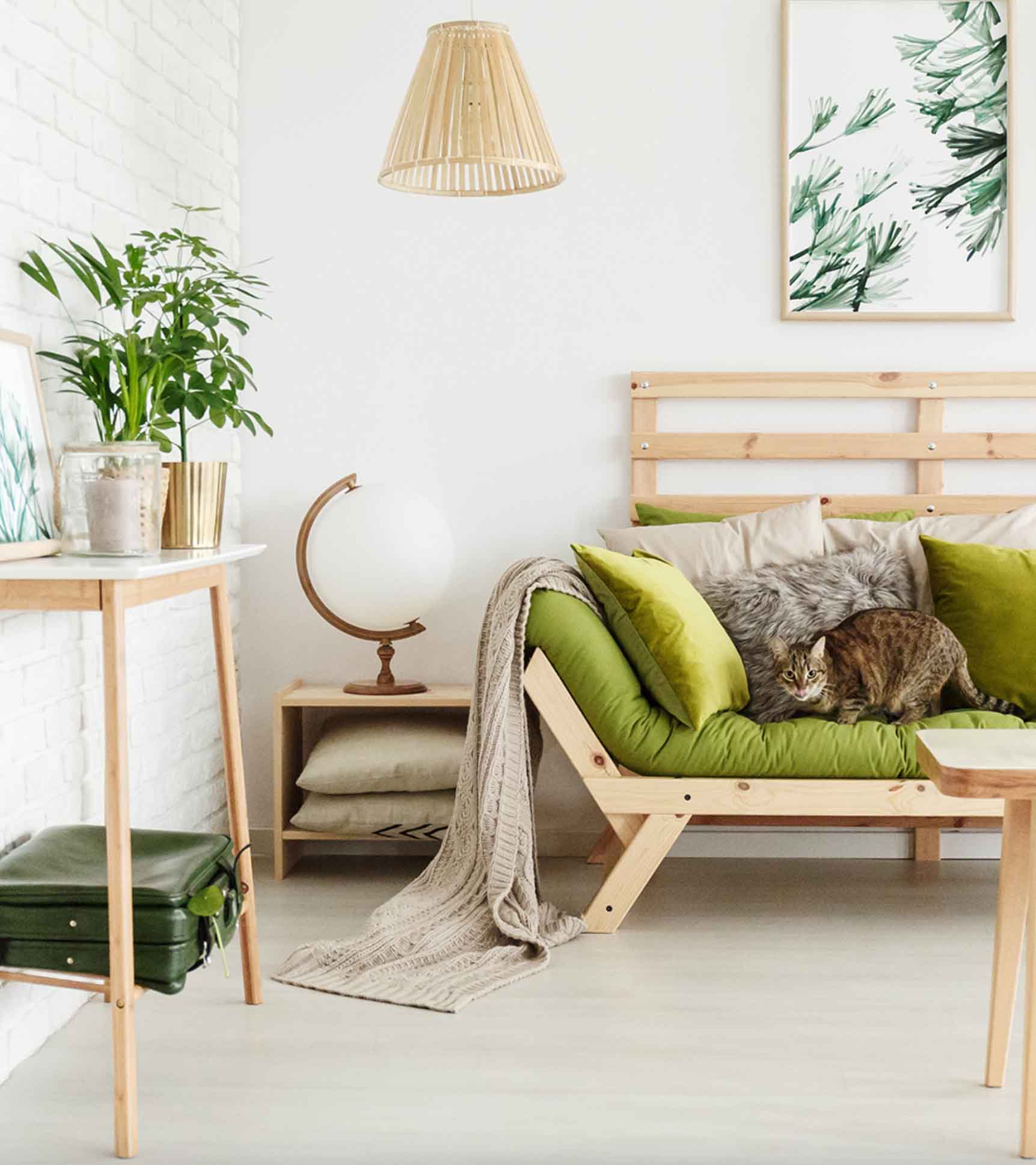 Prípravky pre obývačku