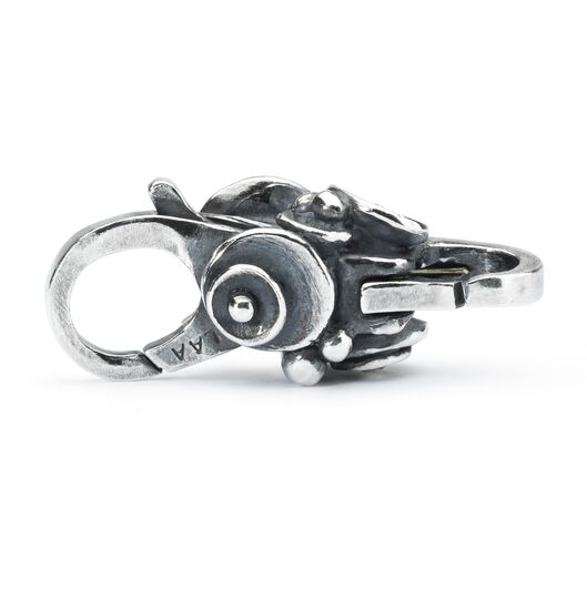 Chiusura Bocciolo Di Ninfea - Main view