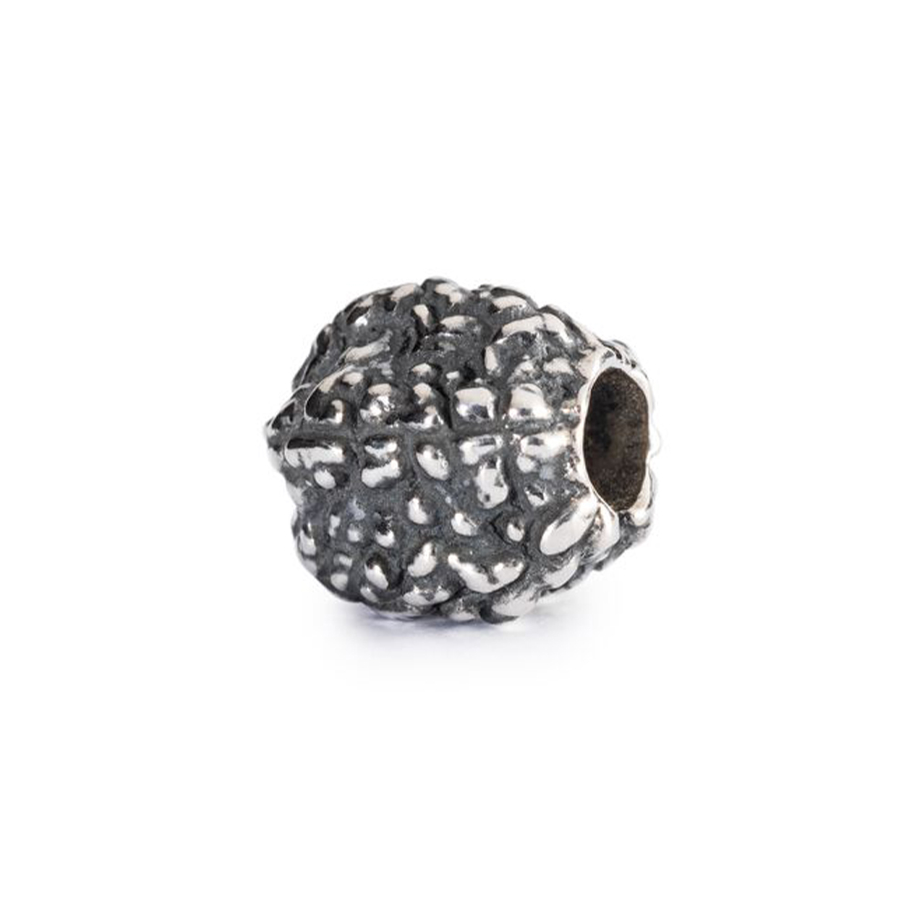 Lacrime di Shiva - Main view