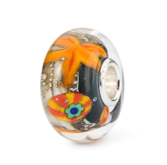 Armonia Marina - Main view