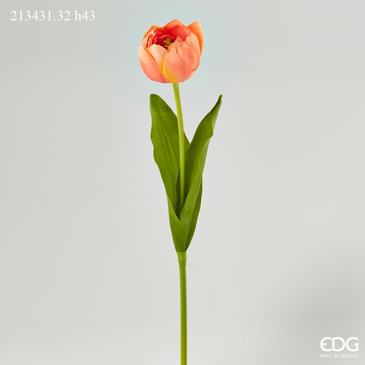 Tulipano Rex Multipetalo Arancio h.43 Edg
