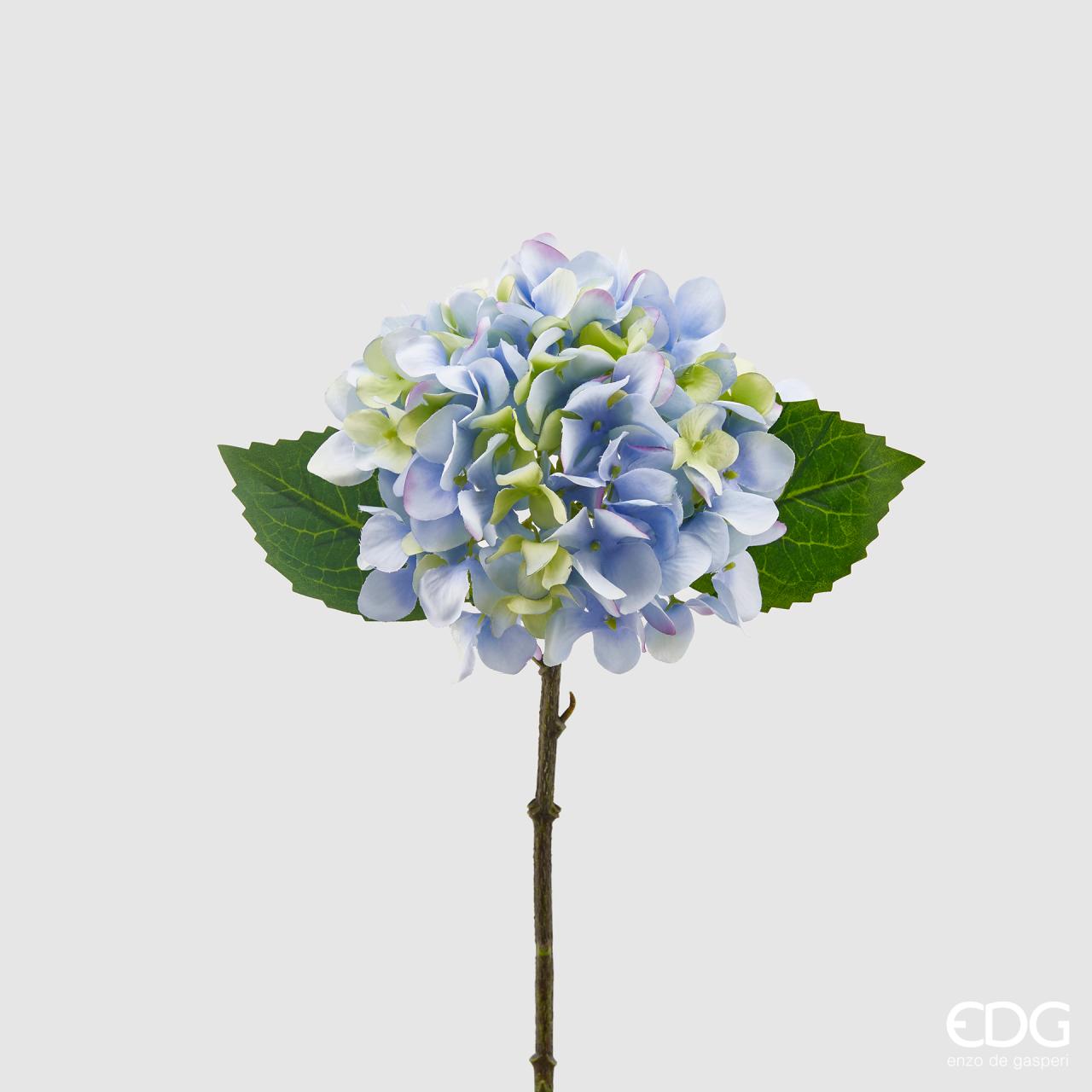 Ortensia Olis Ramo Celeste h.33 Edg