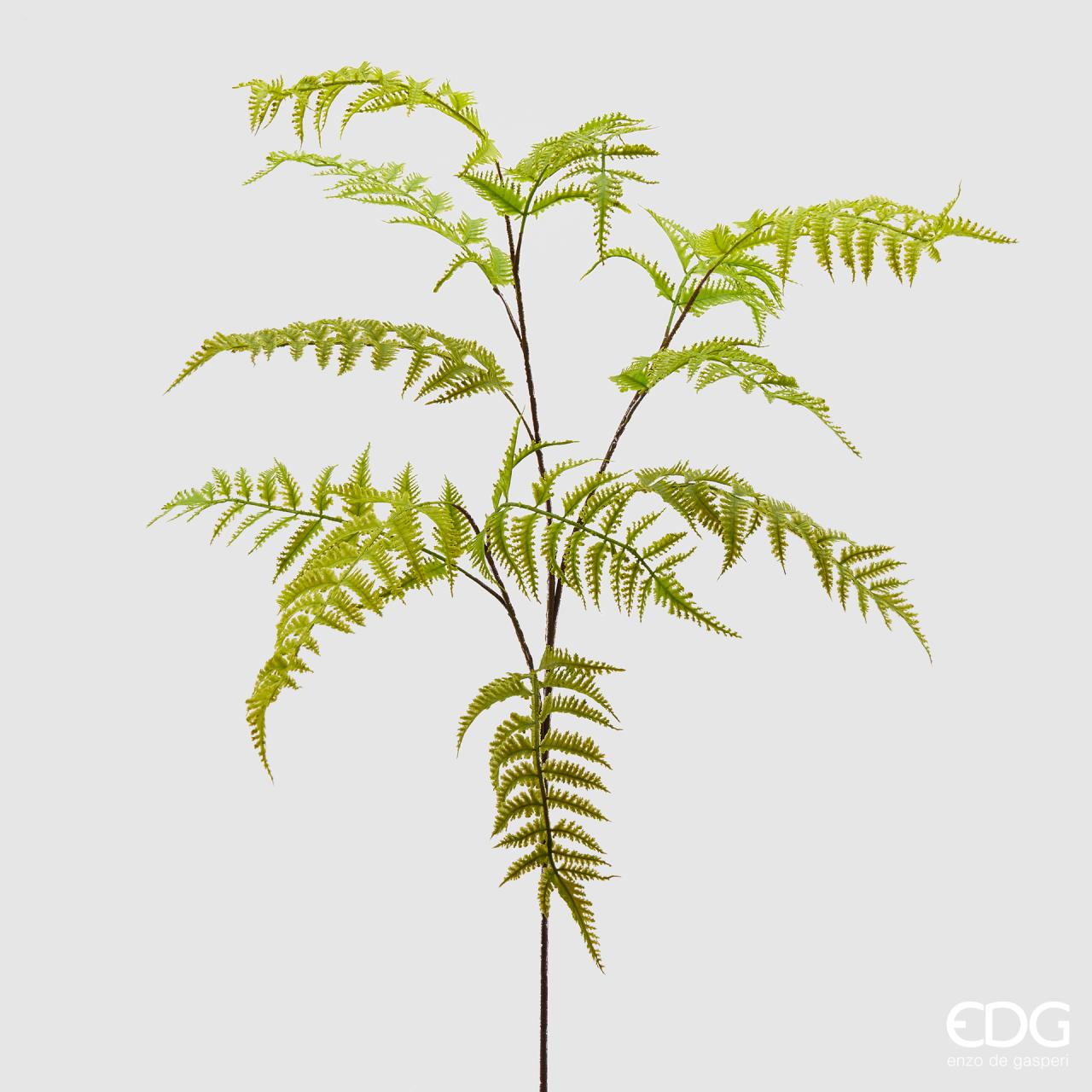 Felce Olis Ramo h.105 Edg