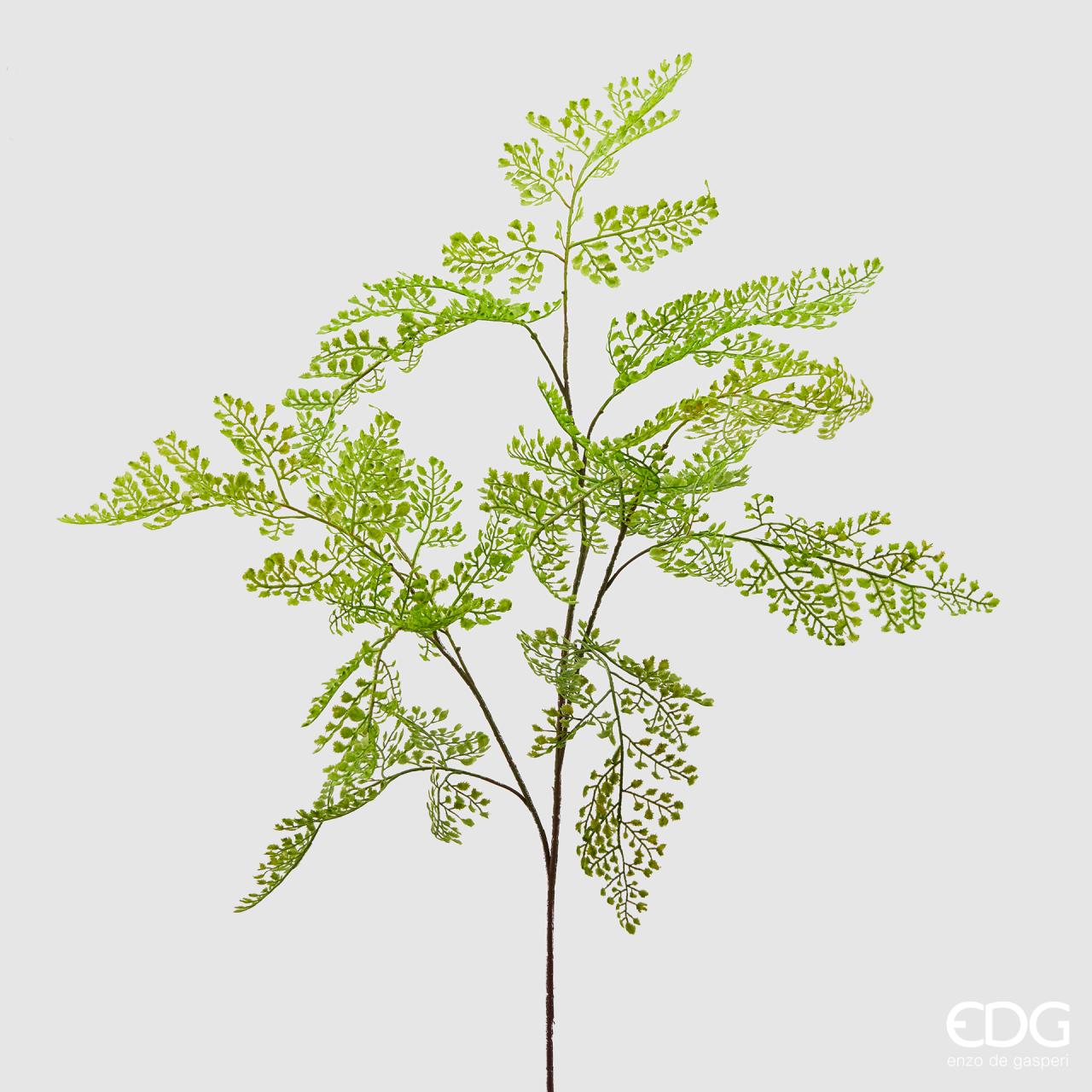 Capelvenere Olis Ramo h.105 Edg