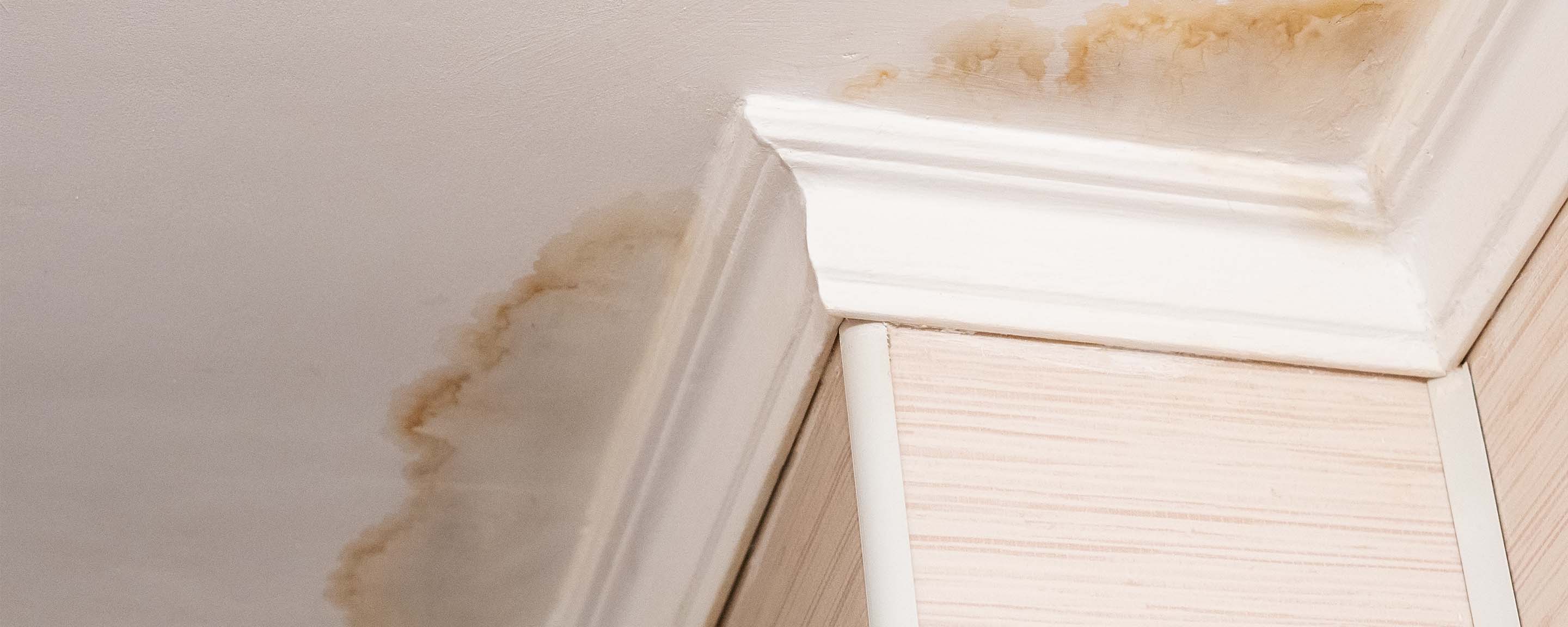 Cos’è una pittura traspirante