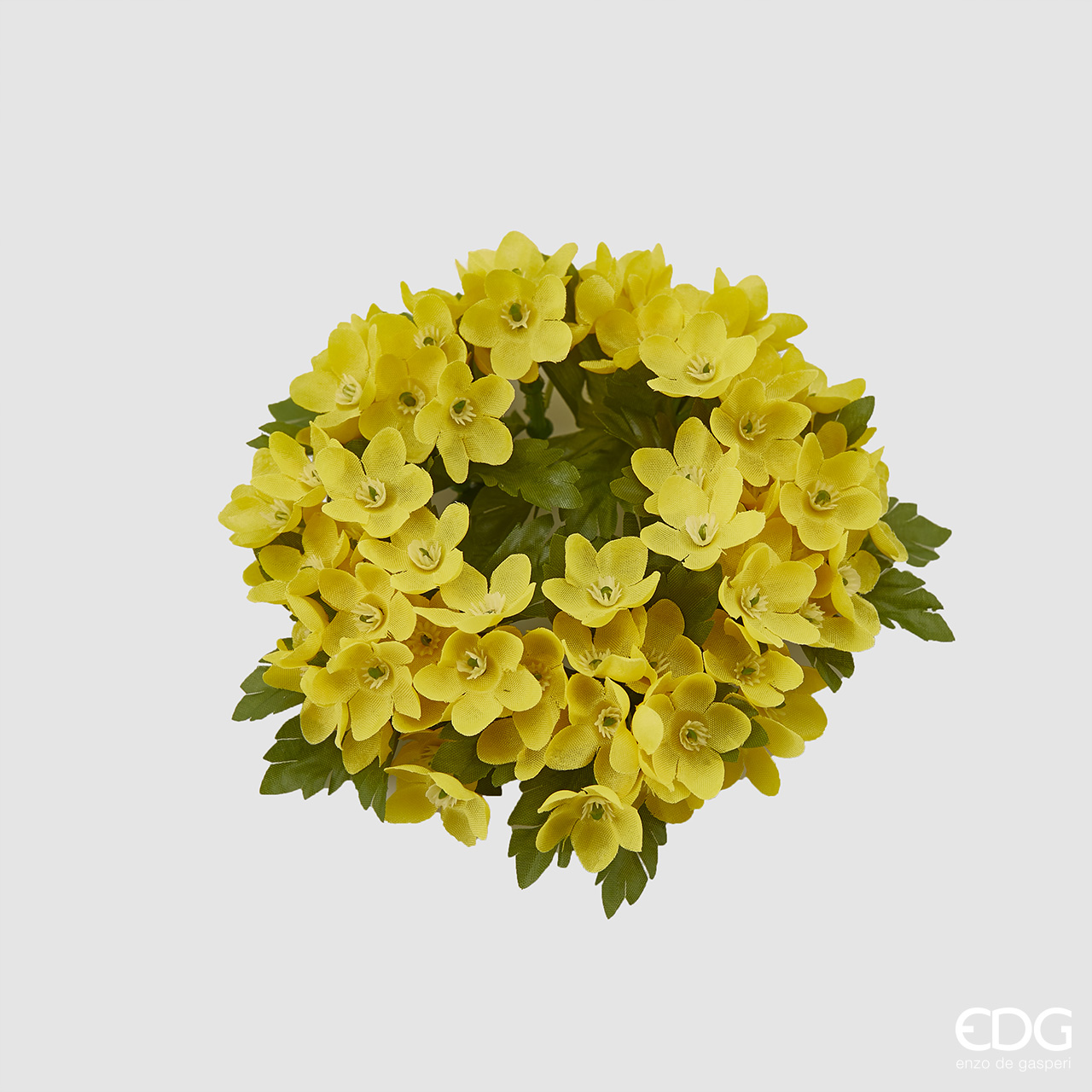 Coroncina Gypsophila Alpina d.int. 5 d.est.13 Edg