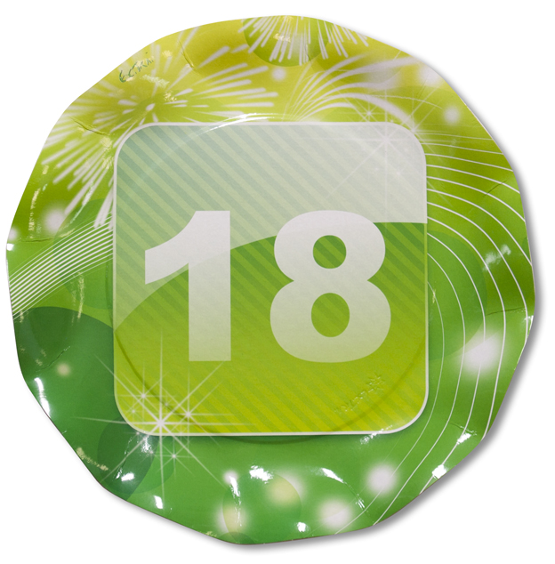 10 PIATTI GRANDI Ø 27 APP18