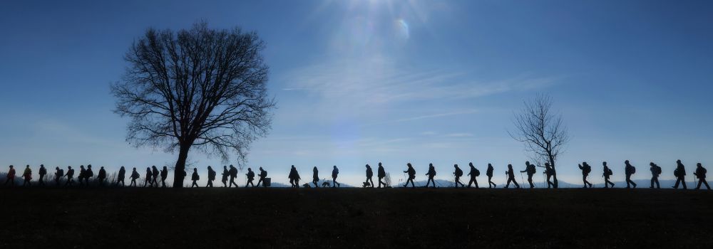Movimento Lento