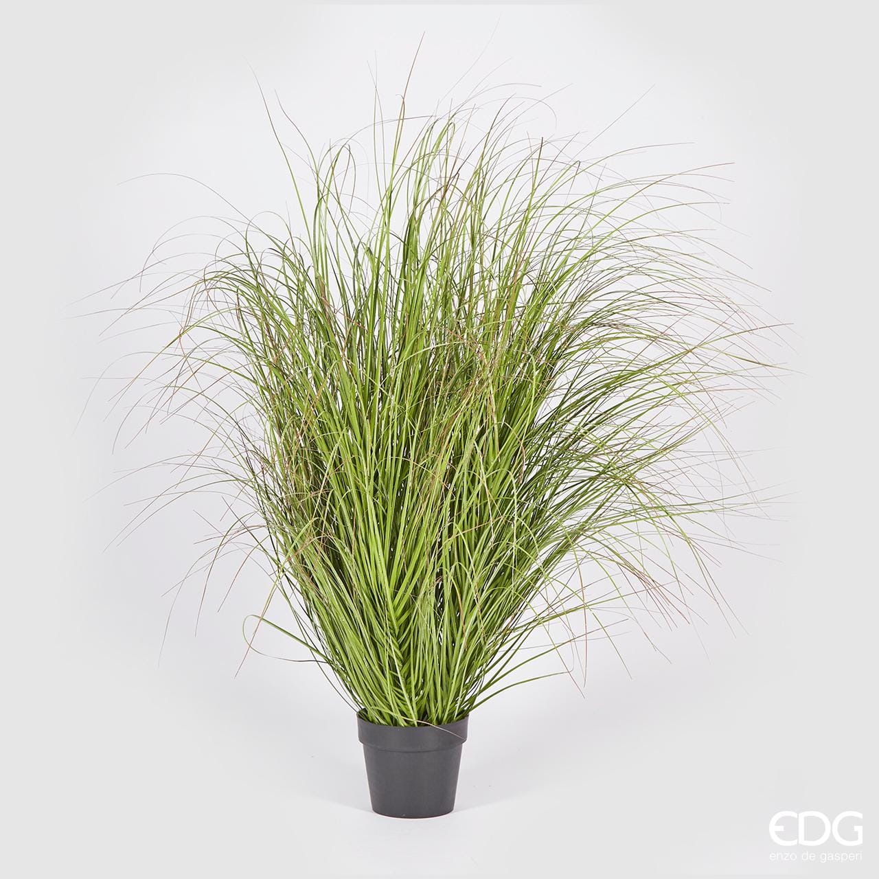 Festuca con Vaso h.142 Edg