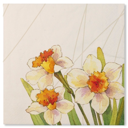 20 TOVAGLIOLI 33x33 3V NARCISI