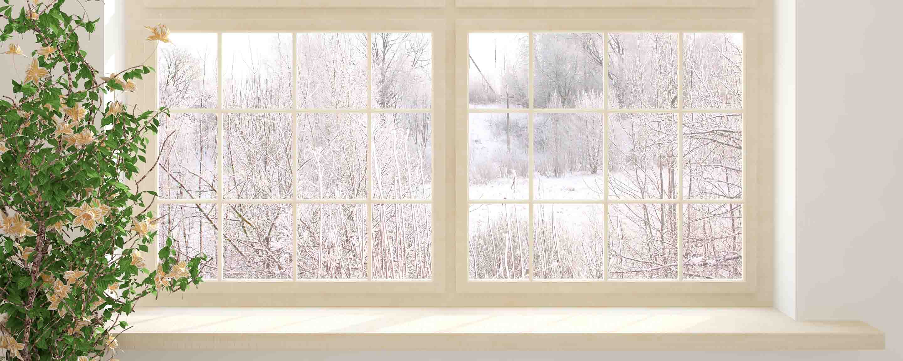 Vous voulez peindre votre maison en hiver?