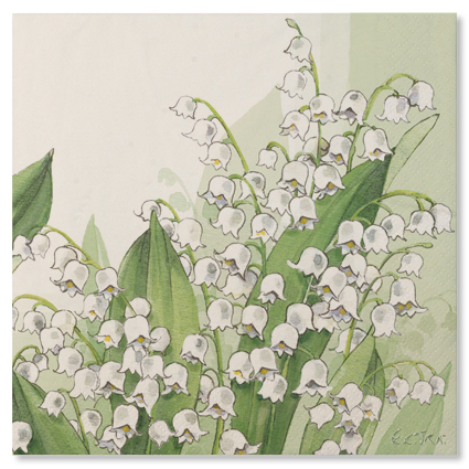 20 TOVAGLIOLI 33x33 3V MUGHETTI