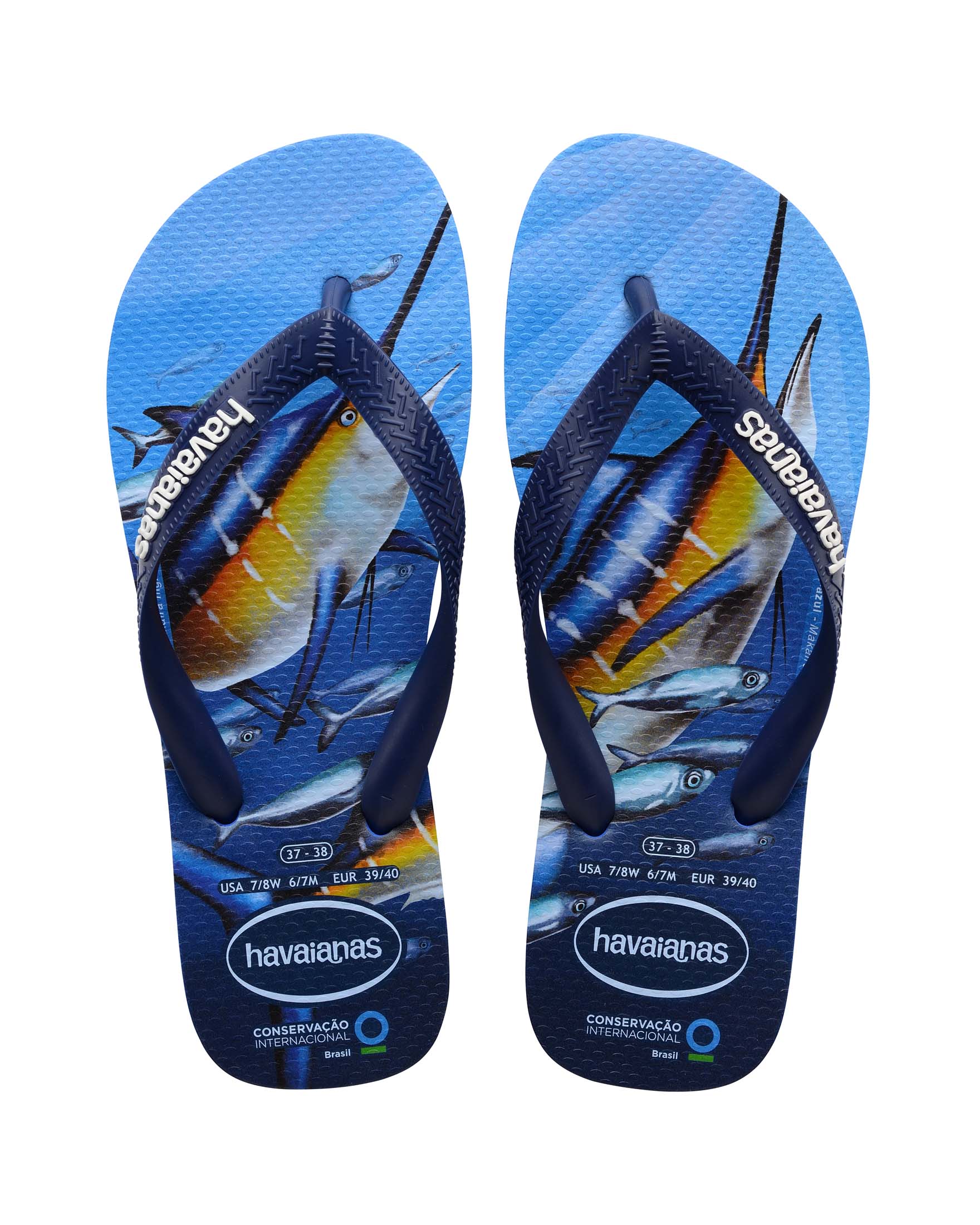Havaianas Conservación Internacional con fascetta blu e logo bianco