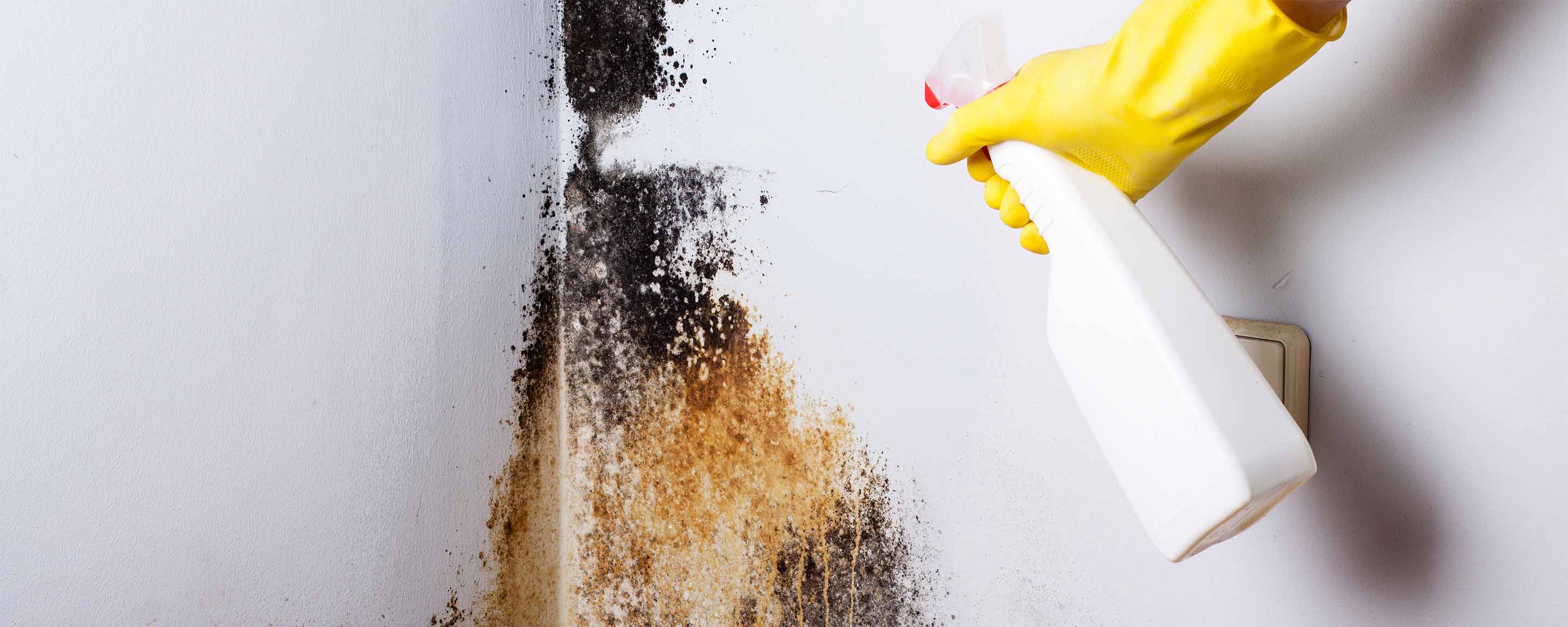 Spray anti mucegai Combat 222