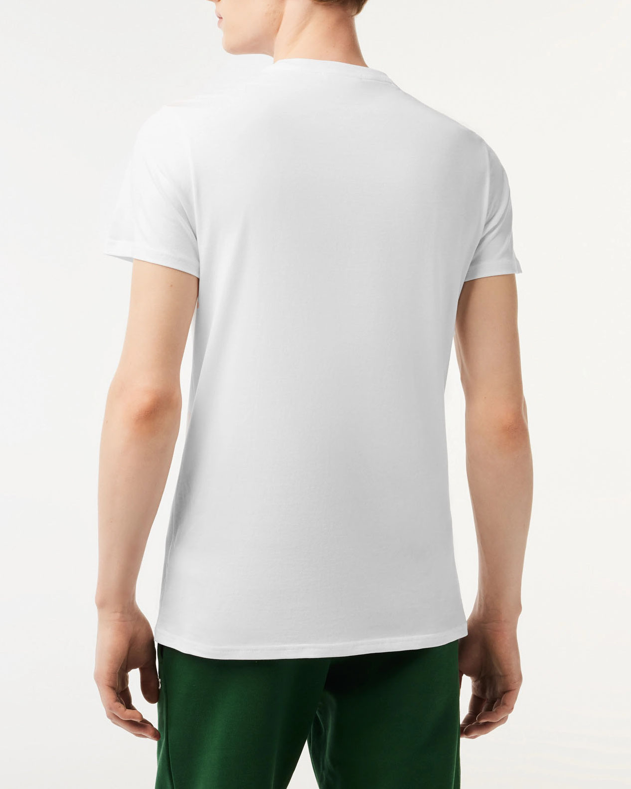 T-shirt Lacoste bianca in pima cotton con logo coccodrillo verde image