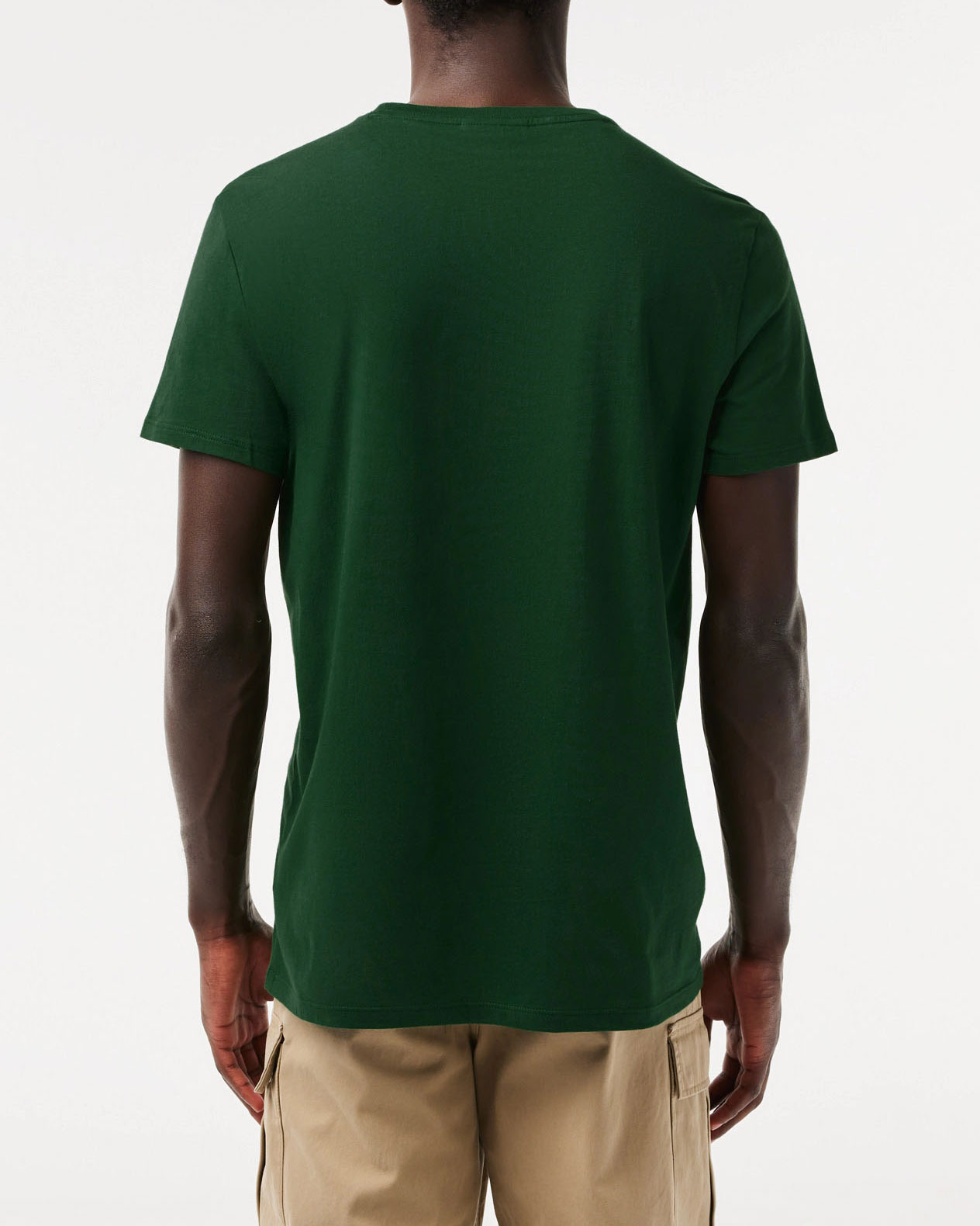 T-shirt Lacoste verde in pima cotton con logo coccodrillo verde image