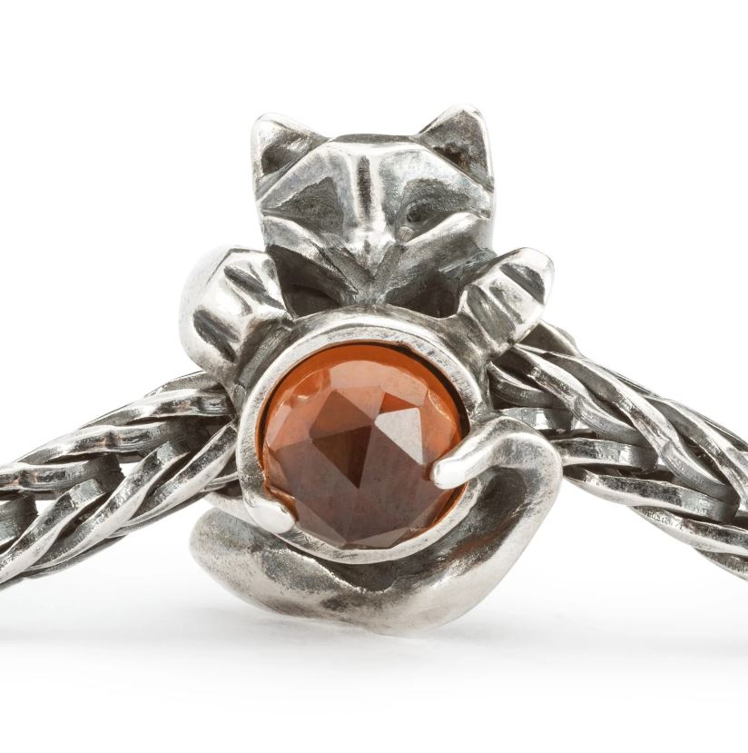 Zampe Preziose - View1