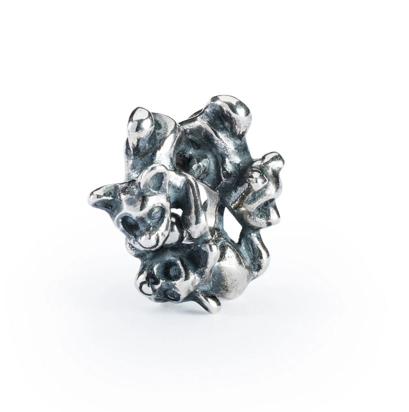 Insieme In Allegria - Main view