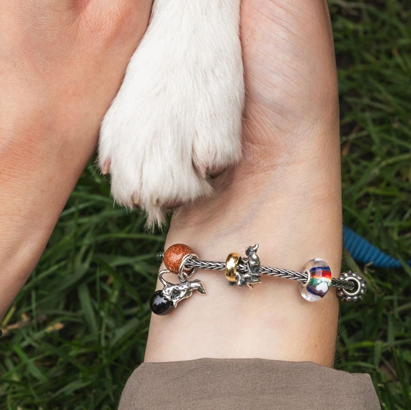 Insieme In Allegria - View2