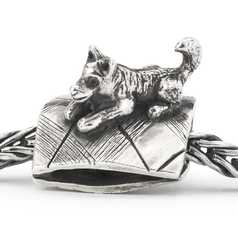 Protezione Incondizionata - View2