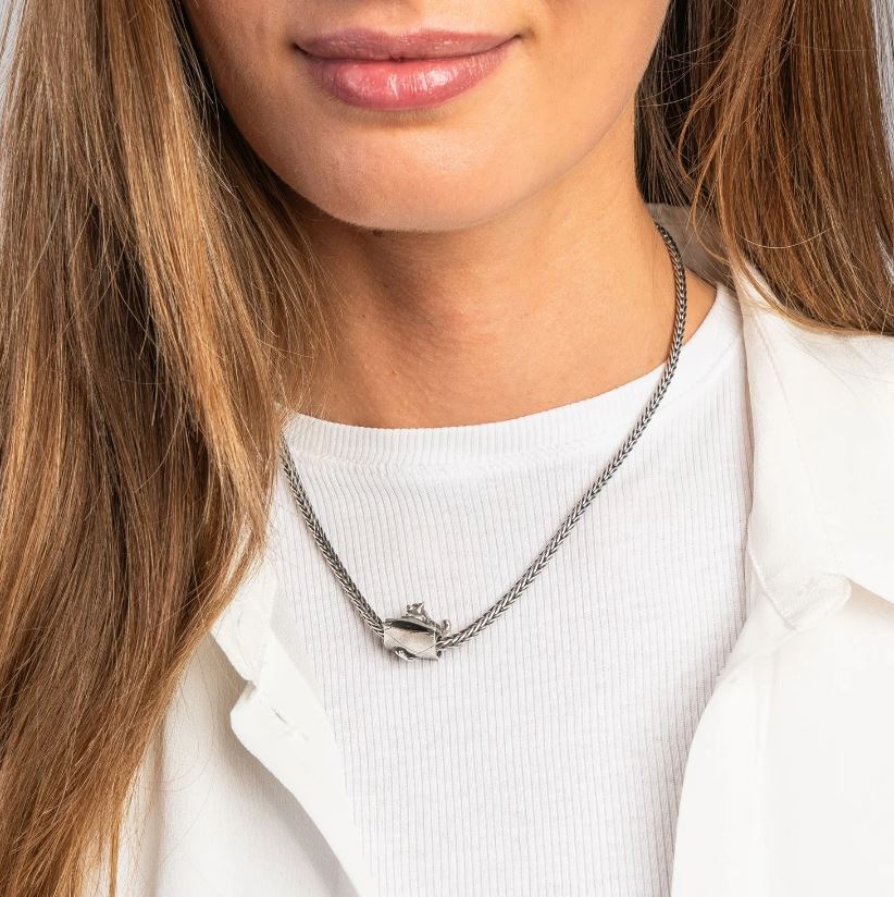 Protezione Incondizionata - View3