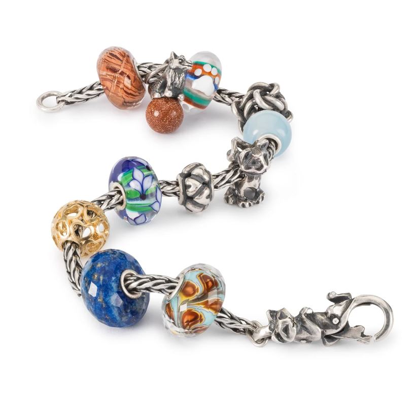 Chiusura Gattitudine - View1